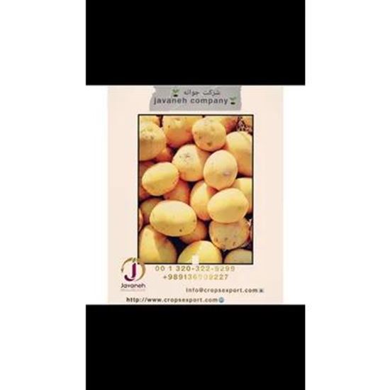 Picture Of potato