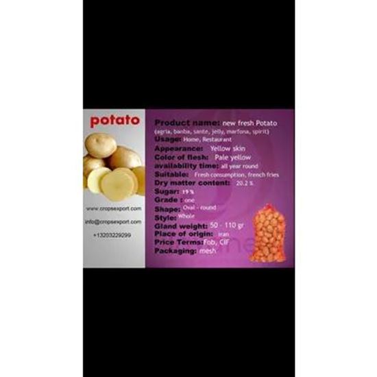 Picture Of potato
