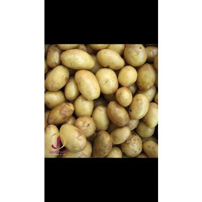 Picture Of potato