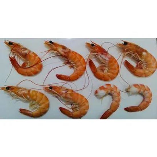 Изображение Vannamei Shrimp