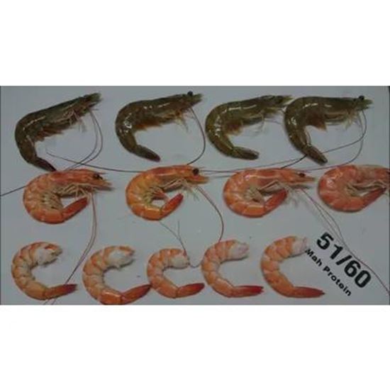 Изображение Vannamei Shrimp