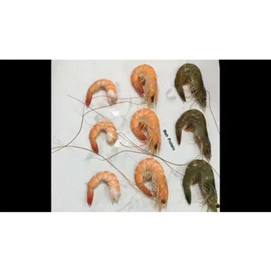 Изображение Vannamei Shrimp