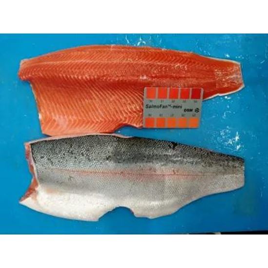 Picture Of Salmon Trout
