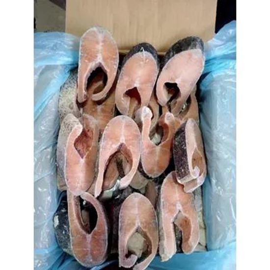 Picture Of Salmon Trout