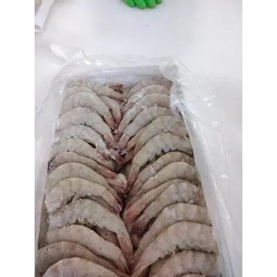 Picture Of Headless Vannamei Shrimp