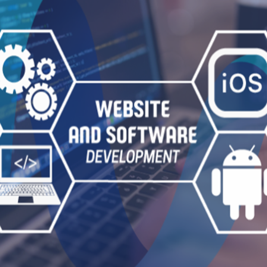 Picture Of software services 