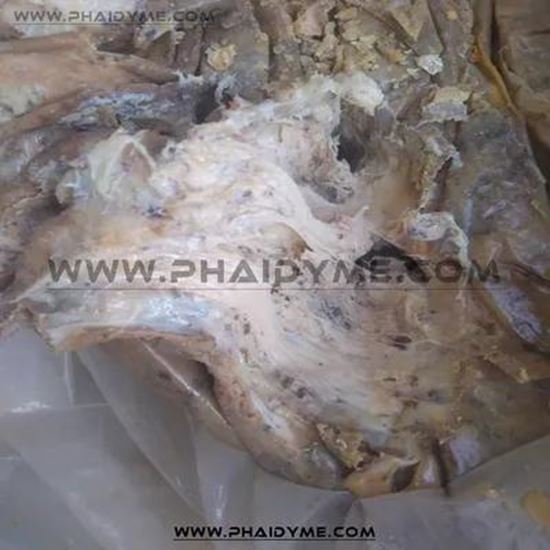 Picture Of Hing (Asafoetida)