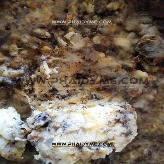 Picture Of Galbanum resin