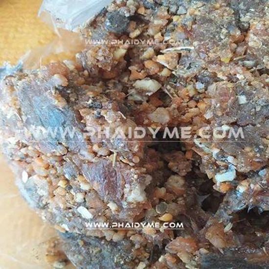 Picture Of Galbanum resin