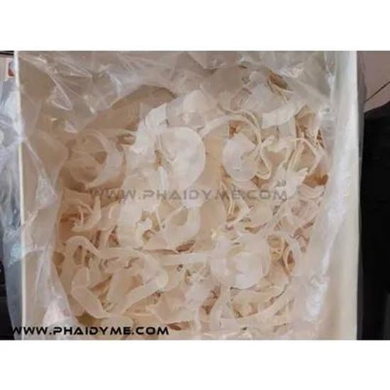 图片 Tragacanth Gum