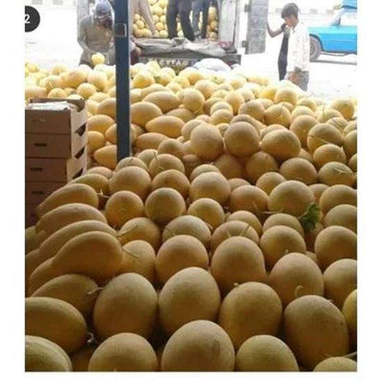تصویر  Melon