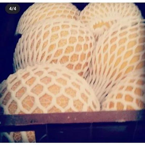 تصویر  Melon