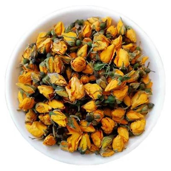 Picture Of Yellow rose bud