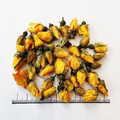 Picture Of Yellow rose bud