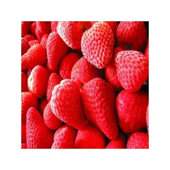 تصویر  Frozen strawberry
