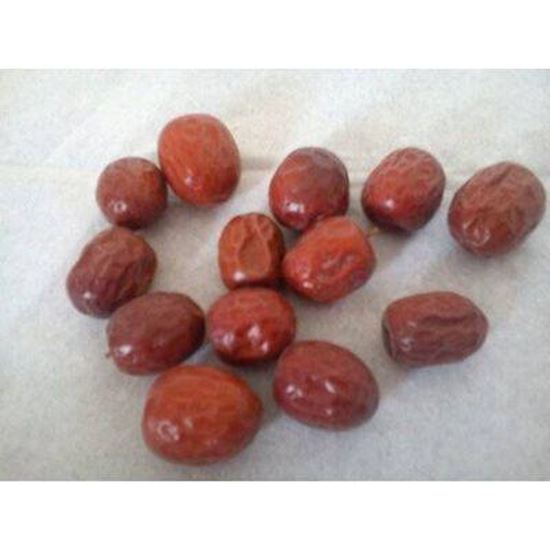 Picture Of jujube