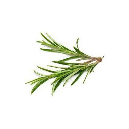 Picture Of rosemary