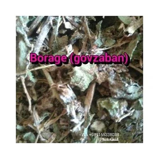 Wholesale: Borage , Gaozaban (Anchusa strigosa) resmi