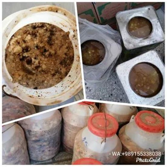 Picture Of Wholesale: Assafoetida, Galbanum, Ammoniacum, Tragacanth