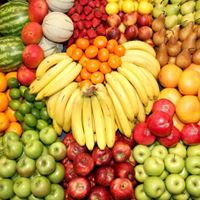 صادرات انوع  میوه از ایران با حداکثر کیفیت و قیمت مناسب