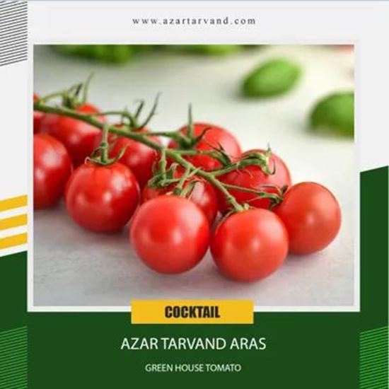 greenhouse tomato の画像