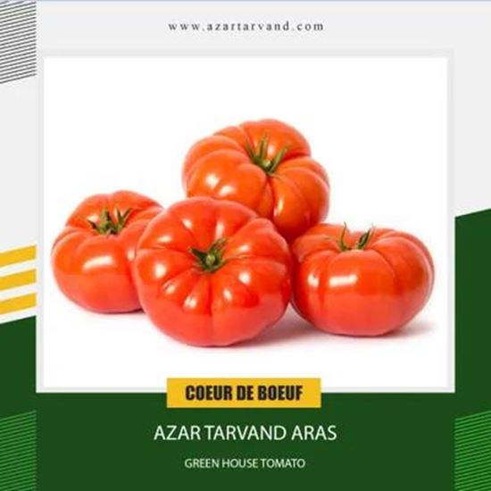 greenhouse tomato の画像