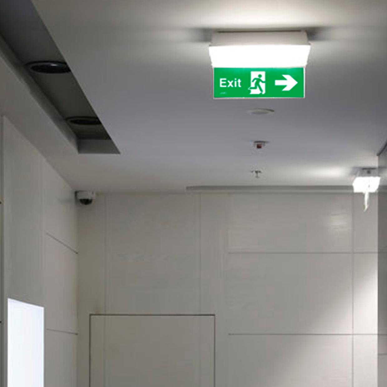 Picture Of FANAL LED Industrial emergency luminaire, Maintained, Satin white Polycarbonate diffuser, 4000K, LED