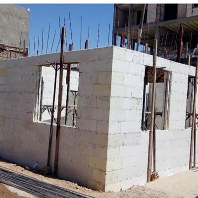 Picture Of Implementation of skeleton and building with ICF template system