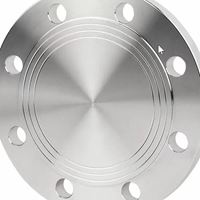 Premium Export Kiwi in 10 kg Verpackung