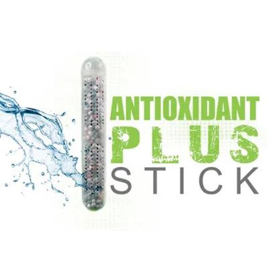 Picture Of Antioxidant Plus Stick