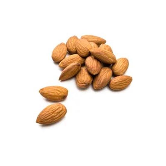Picture Of Almond