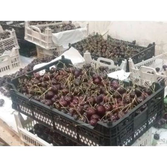 تصویر  گیلاس