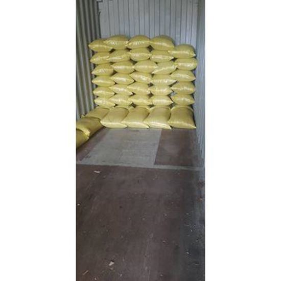 Bild Coriander Seed