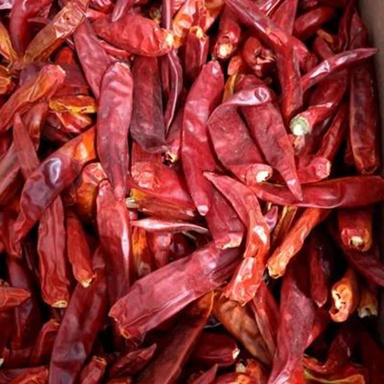 Picture Of Red Chili