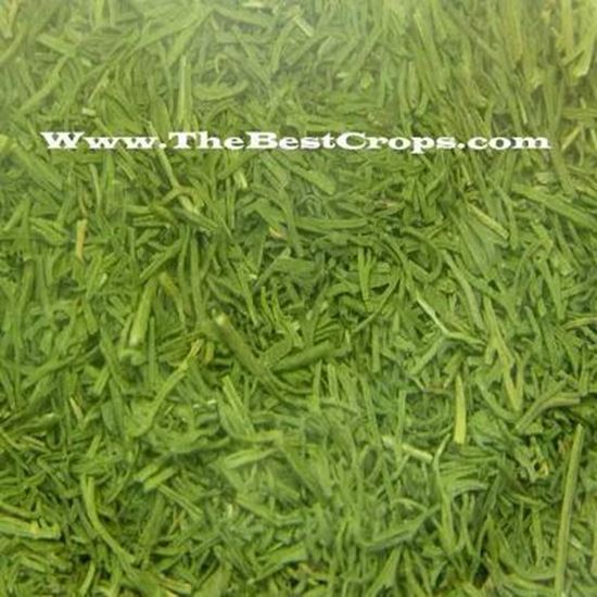 Picture Of Herbal tea, Top Grade from Iran