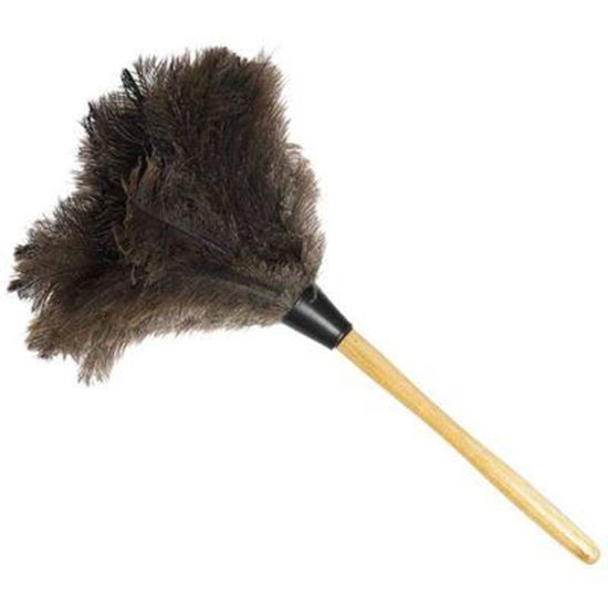 Picture Of feather duster