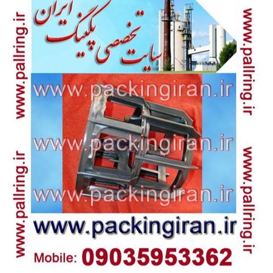 پال رینگ