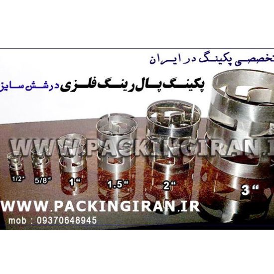 انواع سایز پال رینگ 