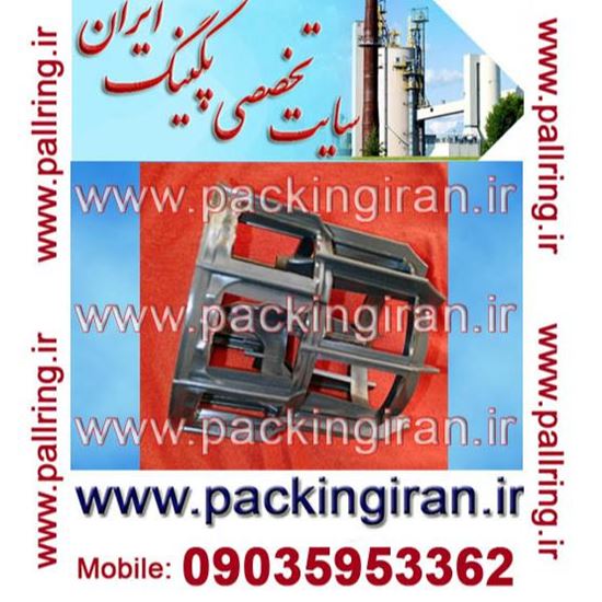 پال رینگ
