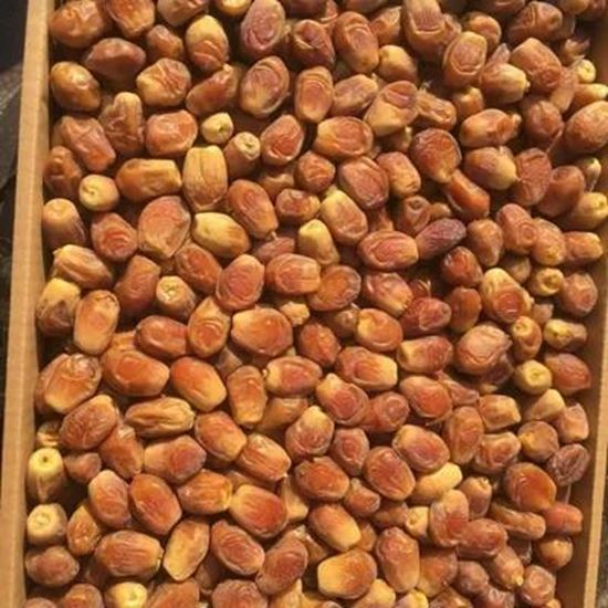 Picture Of Fresh Date