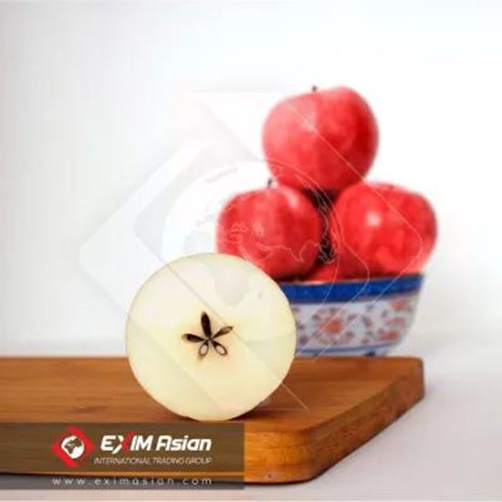 图片 Iran Fresh Apples ( Red apple, Yellow apple, Green apple )