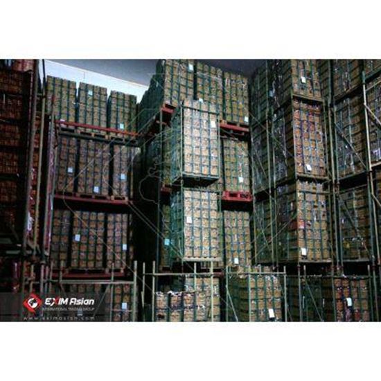 图片 Iran Fresh Apples ( Red apple, Yellow apple, Green apple )