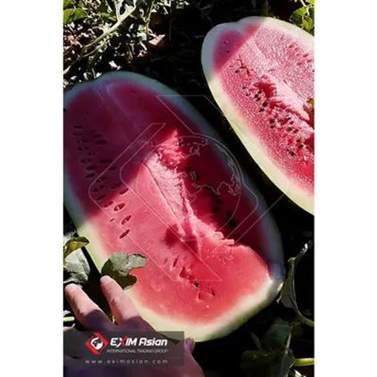 Изображение Iran Fresh Watermelon