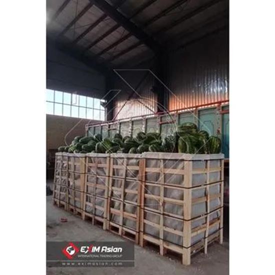 Изображение Iran Fresh Watermelon