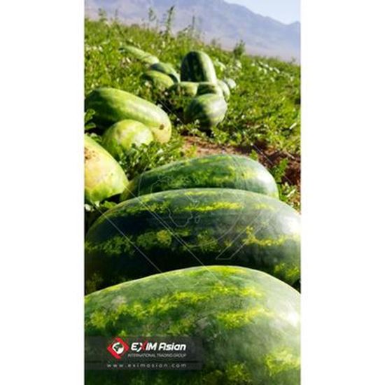 Изображение Iran Fresh Watermelon