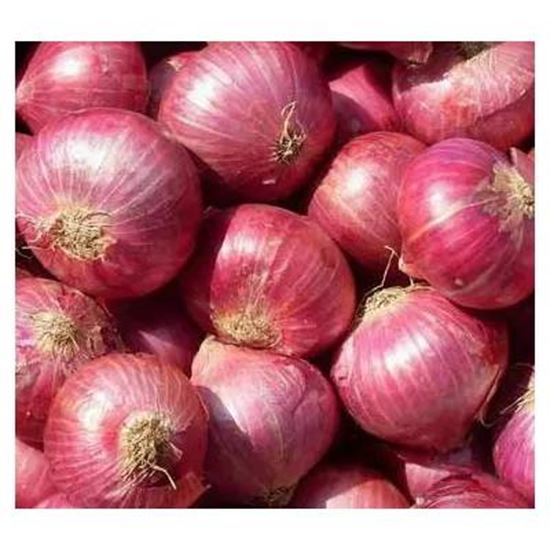 تصویر  red onion
