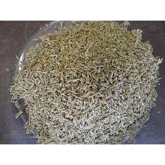 Picture Of cumin seed