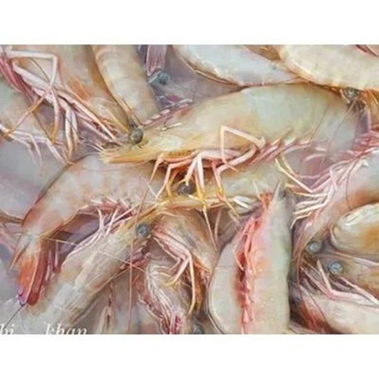 Picture Of Fresh and frozen shrimp. King shrimp and other types