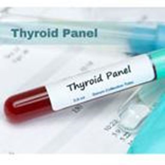 Picture Of Thyroid panel - ideal for future diagnosis