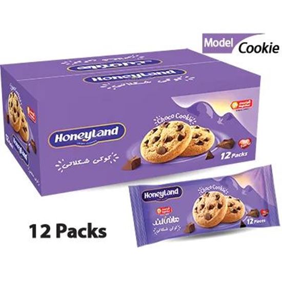 تصویر کا COOCKIE (12 PCS)